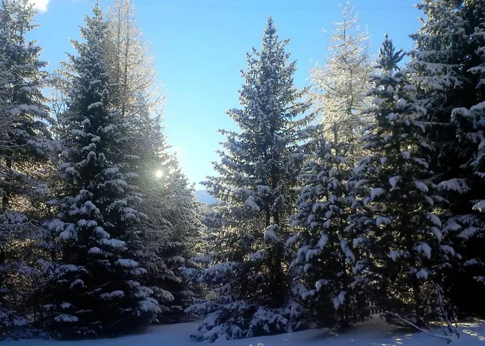 Horská chata Gulas - *