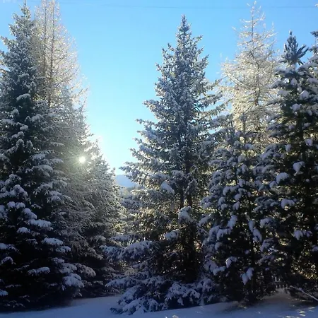 Chalet Gulas - *
